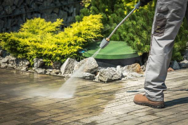 Best Residential Exterior Washing  in Sargent, TX
